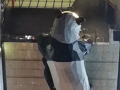 -老成都·古法采耳·禅洗头疗(四川总店)