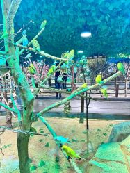 -酷嗒动物文化乐园(cutezoo西溪乐天城店)