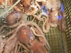 android_upload_pic-沈家门海鲜夜排档(东港店)