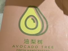 -油梨树 AVOCADO TREE(亮马桥店)