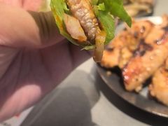 -杨小佳·齐齐哈尔烤肉·烤串(广州店)