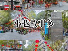 -泡桐树街