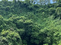 -海口火山口国家地质公园