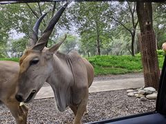 -北京野生动物园