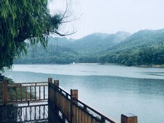 -石燕湖生态旅游景区
