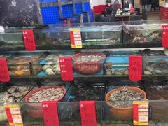 -鑫鸿达·海鲜闽菜热炒小馆(中山路店)