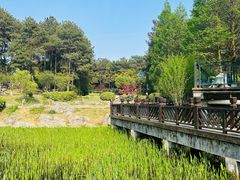 -铁山坪森林公园