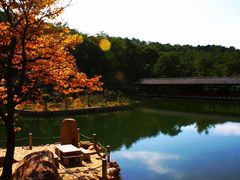 -鲁山国家森林公园