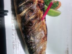 -将太无二·北美传奇寿司(瑞士公寓店)