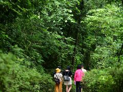 -西岭雪山大飞水景区