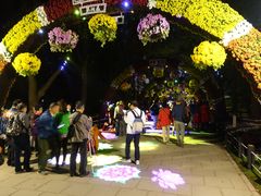 -共青国家森林公园-售票处