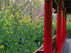 -南汇桃花村