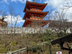 -有栖山 清光院 清水寺