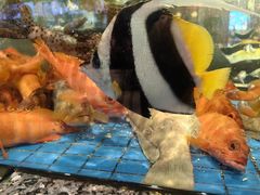 -聚福宝合苑食府(南头镇店)