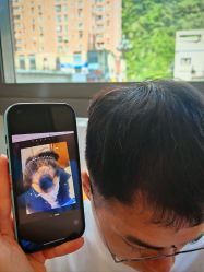 -碧莲盛·不剃发植发