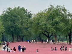 -汉长安城未央宫国家考古遗址公园