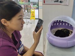 -中农国际动物医院24小时·猫科·骨科·急重症中心