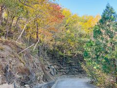 -鹫峰国家森林公园