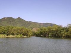 -小芝红树林