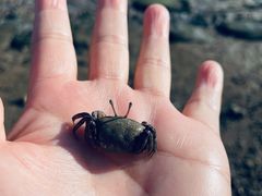 -彩虹沙滩
