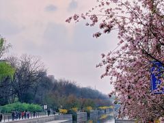 -海棠花溪(元大都城垣遗址公园)