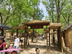 -滕州微山湖红荷湿地景区