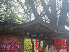-塔川景区