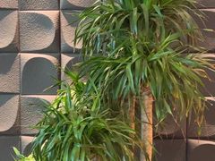-大同江朝鲜菜•长春地标美食(绿园吾悦广场店)