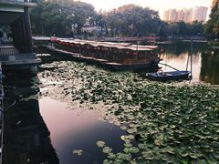 -荔湾湖公园