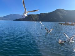 -丽江泸沽湖景区
