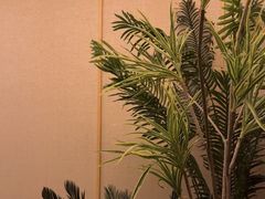 -艺水间水汇