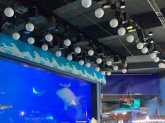 -烟台海昌鲸鲨海洋公园