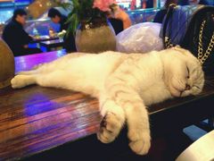 android_upload_pic-MIKAKU(万达广场上海宝山店)