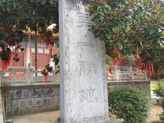 -中原大佛景区