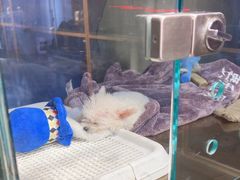 -FAELING PETS美天灵宠物(富力广场店)