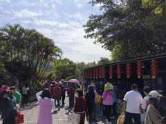 -南沙蒲洲花园