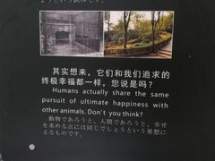 展板-成都大熊猫繁育研究基地