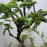 🍜🍜🍜最下饭的菜来啦湘厨专做地道的湘菜