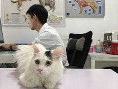 -北京恒爱动物医院(清景园分院)