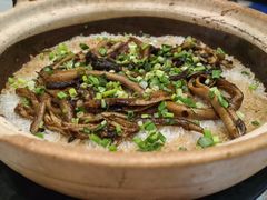 -优之名鹅城