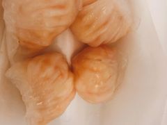 晶莹鲜虾饺-添好运点心专门店(深水埗店)