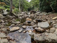 -广州市石门国家森林公园