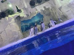 -华夏文旅海洋公园