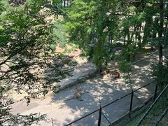 -大连森林动物园