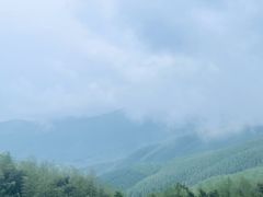 -莫干山风景区