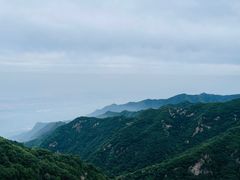 -少华山国家森林公园
