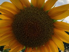 -汉长安城未央宫国家考古遗址公园