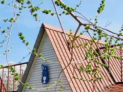 -小意思咖啡店(草桥店)