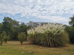 -盘龙城国家考古遗址公园