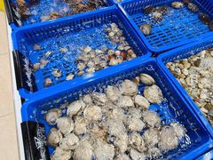 -双月饭店·20年老字号(新村店)